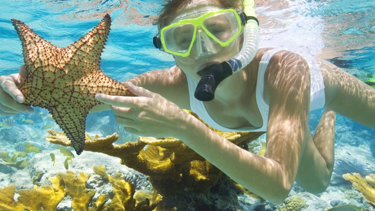 Du khách có thể lặn ngắm san hô khi đến các bãi tắm Phú Quốc
