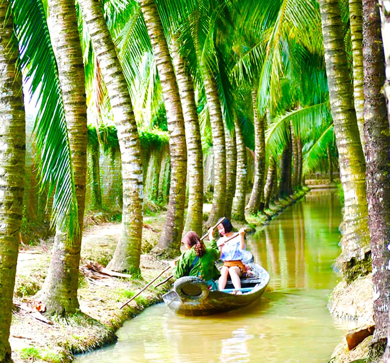 Vườn dừa Tân Lộc 